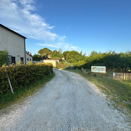 - Il Casale Toscano - 1900Mt From Leaning Tower - No Breakfast - No Air Conditioning - Free Parking - Self Check-In Only From June 15Th Пиза Экстерьер фото